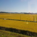 심재호농장 이미지