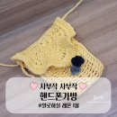 알로하 청송 | 알로하실 밝은레몬 1볼로 만든 핸드폰가방