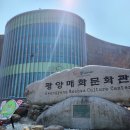 전남 광양매화축제 여행 후기 축제장과 포토존 3월 9일 개화율