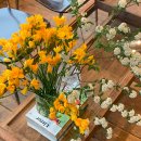 키에튀드 서담 이미지