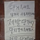 애플노래타운 이미지