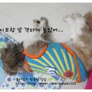 둥이PC 이미지