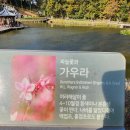 [대구/10월28일(토)]칠곡 함지산 이미지