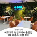 어푸어푸 천안모다아울렛점 아쿠아리움 파충류체험 반려도마뱀 분양