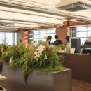 동백식당 이미지