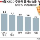 한국의 정신나간 물가상승률. [158] 슬픈한국 이미지