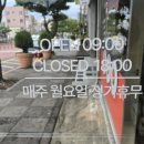김정자 | 제주도 가을 여행 김정자김밥