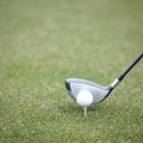 TM골프클럽 이미지