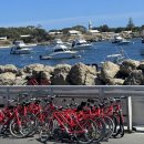 🦫Rottnest Island 퍼스 쿼카섬 로트네스트 아일랜드 후기🦫