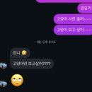 이화목욕탕 | 2월일기(까치까치설날,가족여행,찰리하늘이,기다리던조카만나기까지) 살도행복도+5kg🧧🐶🐱🎁🎀💞