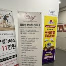치프스포츠 트레이닝센터 | 인천 송도 운동 재활 피티샵 추천<치프 스포츠 트레이닝 PT 센터>