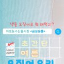 금성유통 이미지