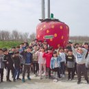 수덕태권도도장 이미지