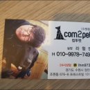 컴투펫 이미지
