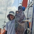 남항 드림피싱 이미지