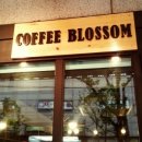 커피블러썸(coffee blossom) 이미지