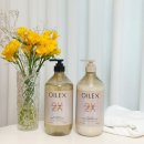 애경헤어샵 | 손상케어 손상모 약산성 단백질 샴푸 트리트먼트 추천 케라시스 오일렉스 더블이펙트 라인 후기