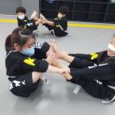 선운초교병설 이미지