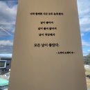 창원 동읍 카페 단감테마공원 앞 오페뜨(O&#39;FETE)
