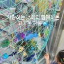랄라아트클래스