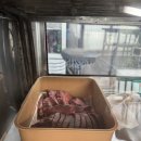 대왕곱창 | 문래역 소곱창 맛집 대왕곱창구이