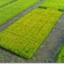 인제농장 이미지