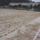 진서중학교 이미지