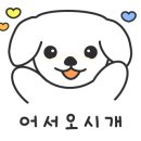 광주동물병원 이미지