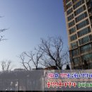 흥덕신동아박사공인중개사사무소 이미지