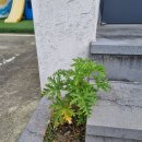 쉼 127 키즈가족 협재점 이미지