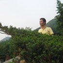 리듬(사교)댄스 이미지