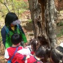 시흥5동 어린이집 이미지