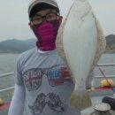 킹콩호 이미지