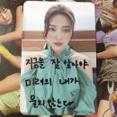 고마워강아지 이미지