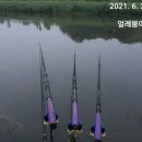 나암천 이미지