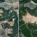 숲 태양광발전소 이미지