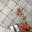 써지스튜디오 이미지