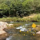 병아리펜션 이미지