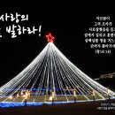 PICTURE&TEXT_20231217_창세기 14장 14절_사랑의 빛을 발하라!_대림절 세 번째 주일 묵상_밀양시기독교연합회 트리 이미지