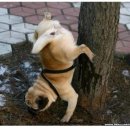 삼산평생동물병원 이미지