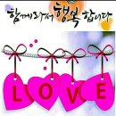 청양친환경블루베리농장 이미지