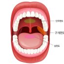 횡성군보건소 이미지