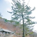 성전암등산로 이미지