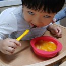 호야샤브 이미지