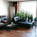 THE1등부동산공인중개사사무소 이미지