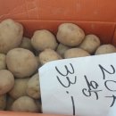 개진감자영농조합법인 이미지