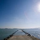 대교 태양광발전소 이미지