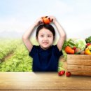 내서읍695 이미지