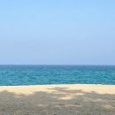 연곡해변 솔향기캠핑장 이미지