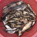 여러가지장터 이미지